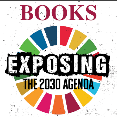 Image of Books about Agenda 2030
