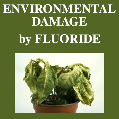 Image of Environmental Damage by Fluoride