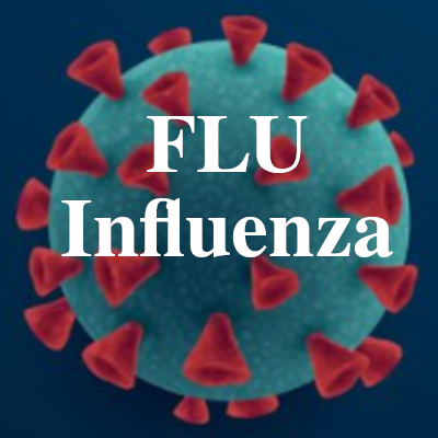 Image of Flu