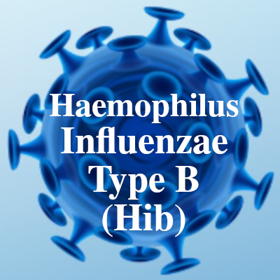 Image of Haemophilus Influenzae Type B (Hib)