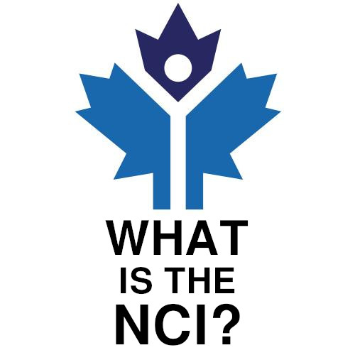 Image of What is the National Citizens Inquiry